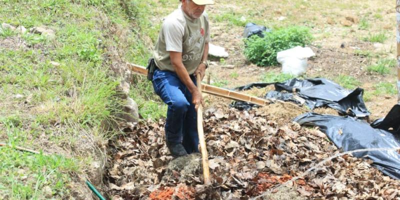 El abono orgánico aporta sostenibilidad ambiental