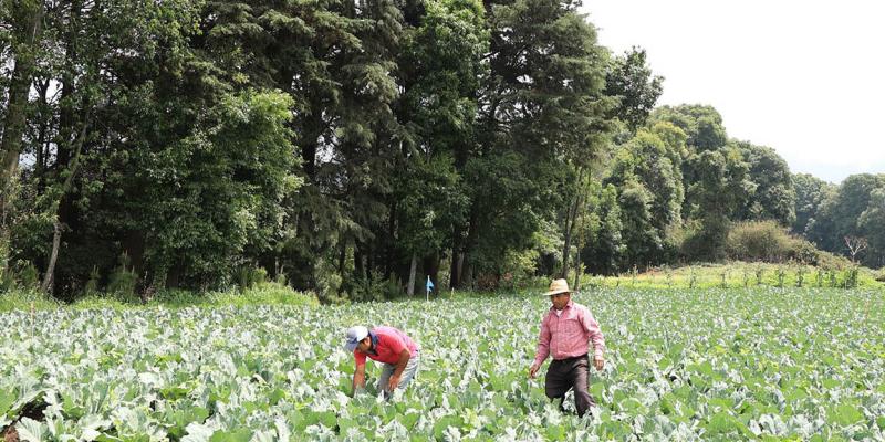 Acciones sostenibles fortalecen el uso responsable de los recursos naturales