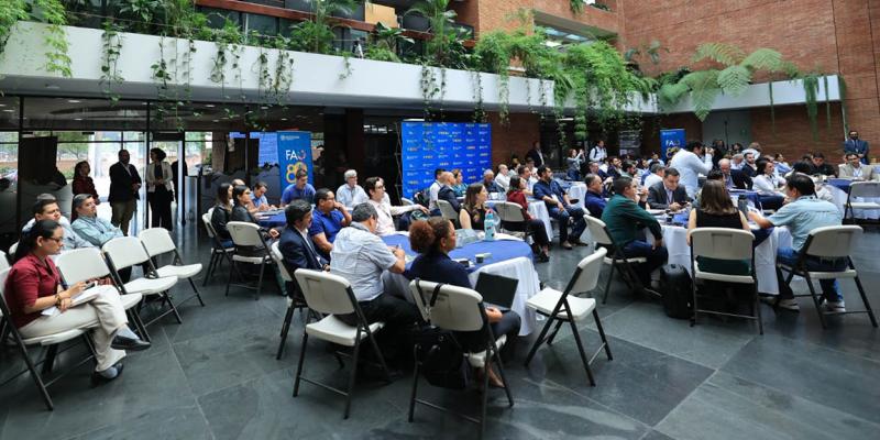 Café guatemalteco avanza hacia un café sostenible y libre de deforestación 