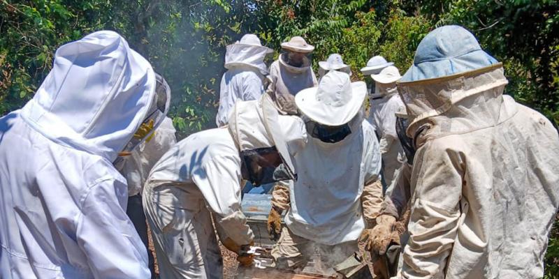 Capacitan a apicultores de Sayaxché en uso de trampas para propóleo