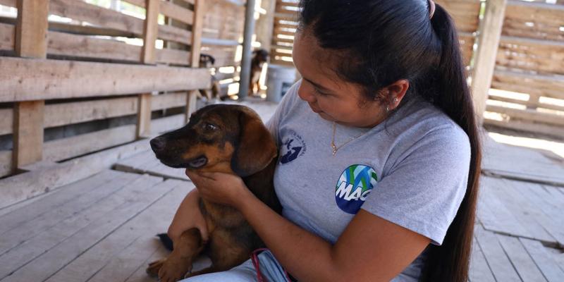 Día Mundial del perro sin raza, una fecha para celebrar la diversidad canina