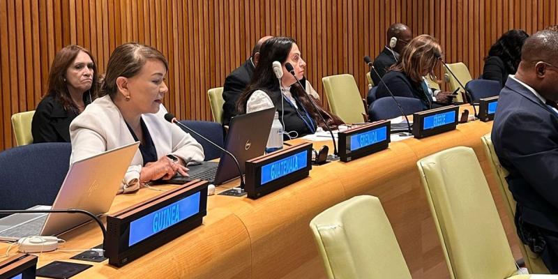 Subsecretaria de Cooperación, Iliana Peña, en su exposición durante el Foro del ECOSOC.