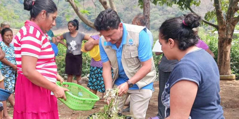 Entregan 80 mil pilones para el establecimiento de huertos familiares en Amatitlán
