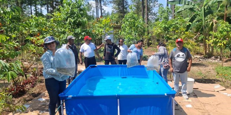 Familias de Poptún fortalecen su seguridad alimentaria con tilapia