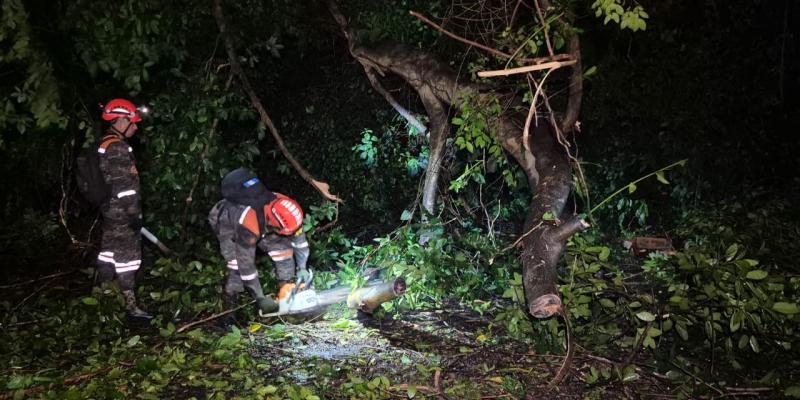 Ejército de Guatemala despeja vías en carretera CA-2, donde se registraron derrumbes por lluvias.