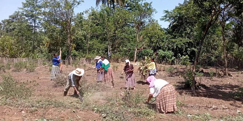Huerto comunitario beneficiará a 20 familias de la comunidad Choctun Basila, Cobán 