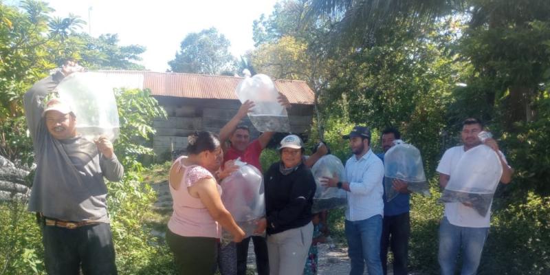 Entregan alevines para impulsar producción acuícola en Santa Ana