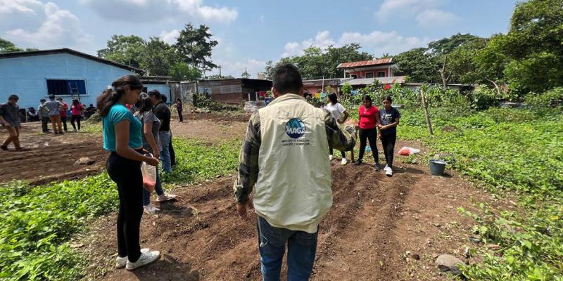 Implementan huerto escolar con fines pedagógico en Samayac, Suchitepéquez