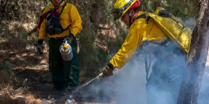 Héroes del bosque, honramos a los combatientes de incendios forestales