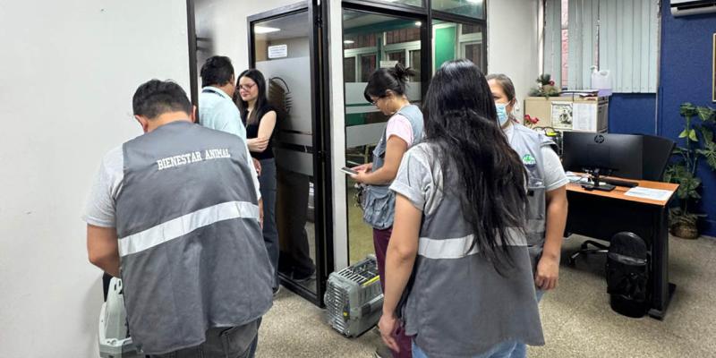 Jornada de esterilización felina en el Hospital General San Juan de Dios