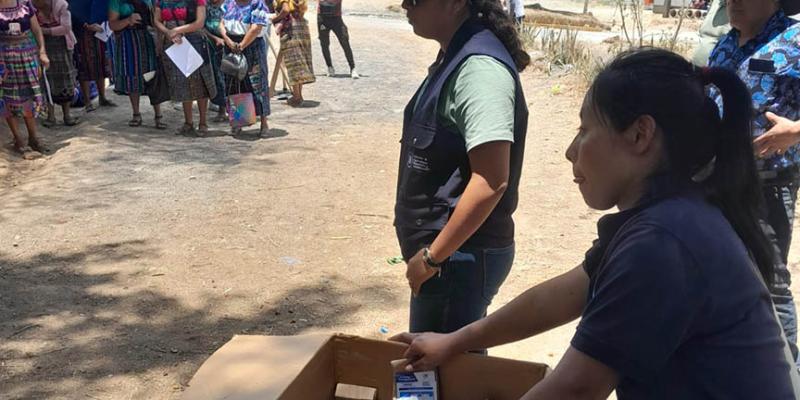 Más de 78 mil familias fortalecen su disponibilidad de alimentos con semillas de hortalizas