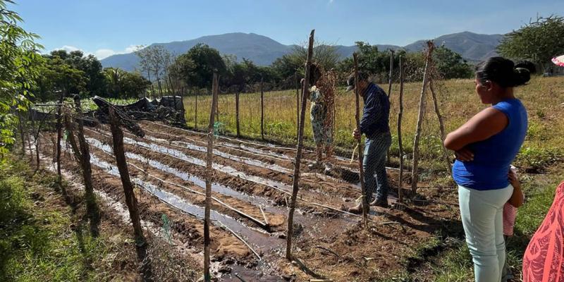 Mujeres de Las Jarretadas, Zacapa, cultivan progreso