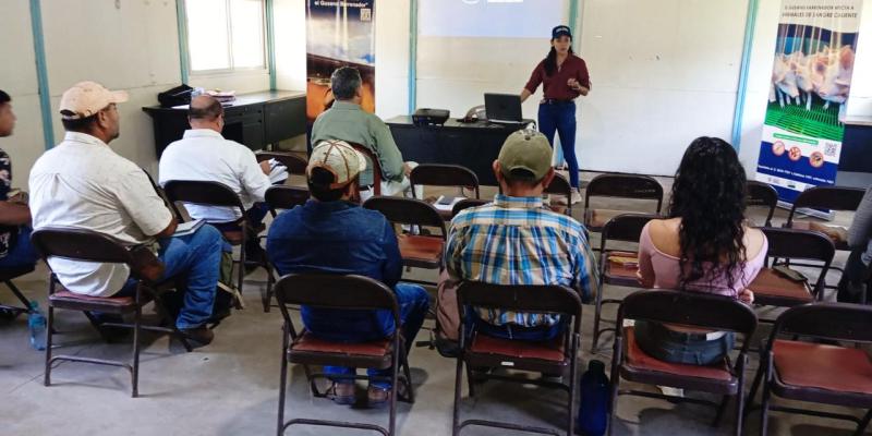 Optimizan asistencia técnica para combatir el Gusano Barrenador del Ganado en Escuintla