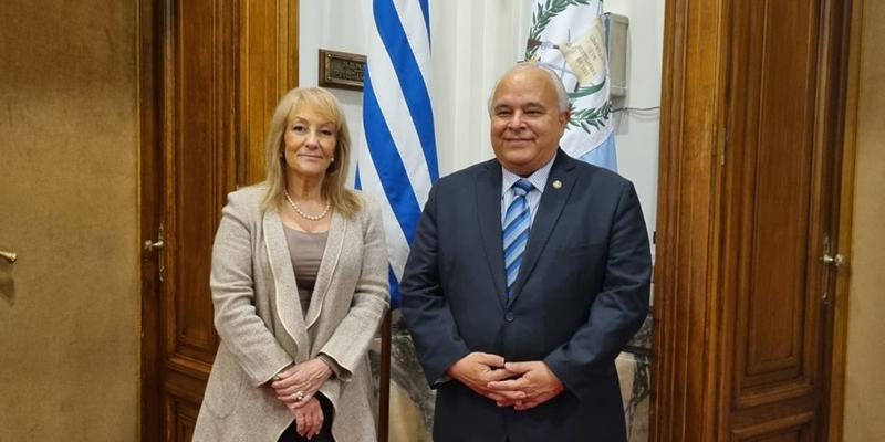 comunicado del Minex