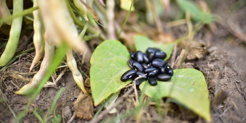 Prepárese para una semana de lluvia, debido a una Onda del Este