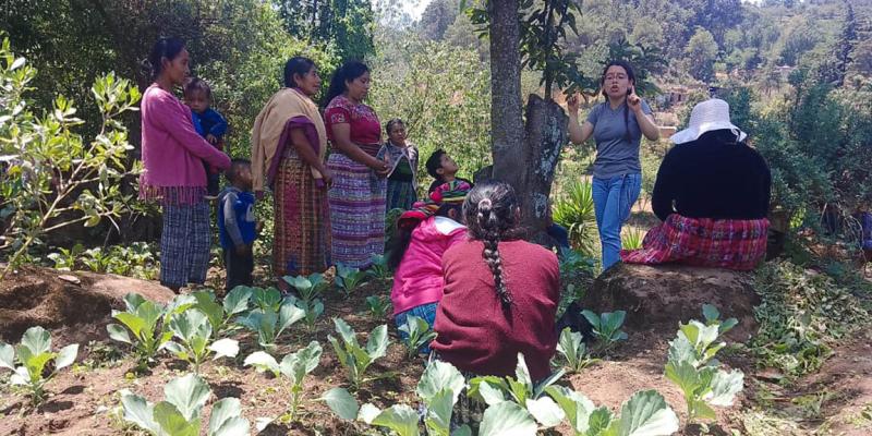 Realizan visitas de seguimiento y monitoreo en huertos comunales