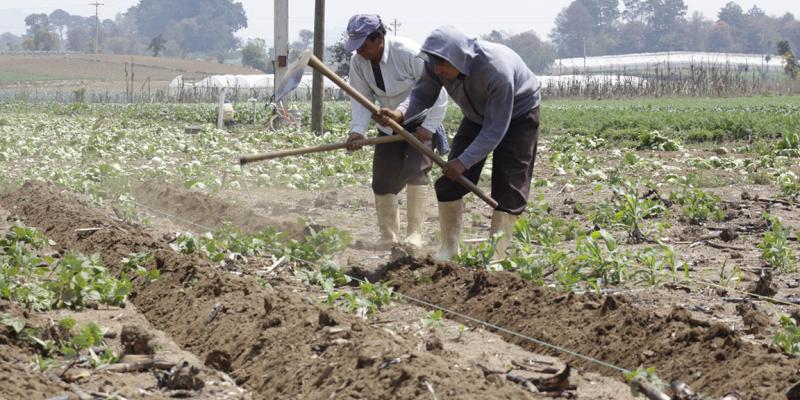 Sector agropecuario debe prepararse ante el inicio de la temporada lluviosa
