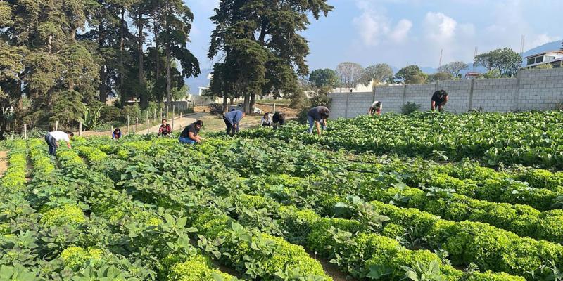 Verifican proyectos para ser elegibles al programa Alimentos por Acciones