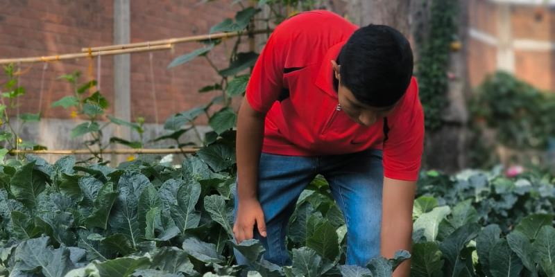 Remozamiento permite sembrar sueños en un huerto escolar