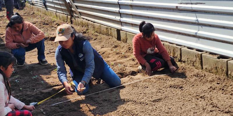 Alumnos de Totonicapán aprenden de agricultura en huerto escolar