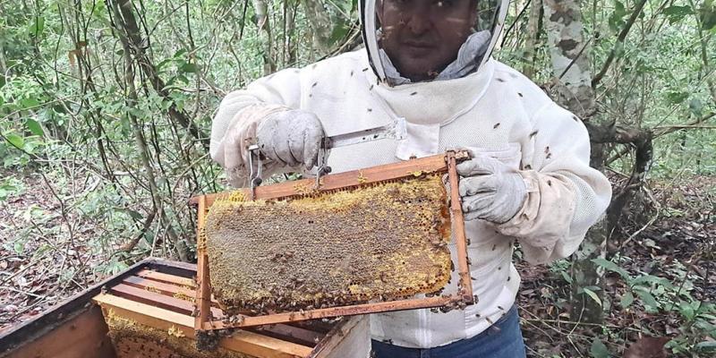 Apicultores de la zona de adyacencia reciben asistencia técnica