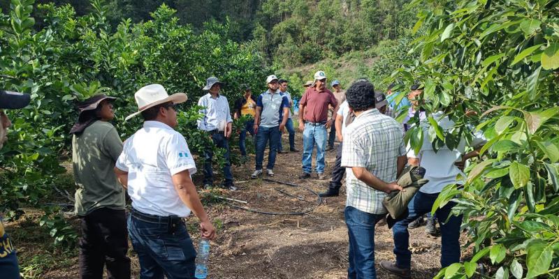 Avanza programa de capacitación para fortalecer la agricultura familiar