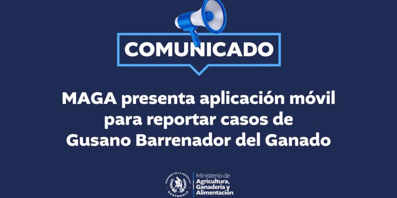 MAGA presenta aplicación móvil para reportar casos de Gusano Barrenador del Ganado