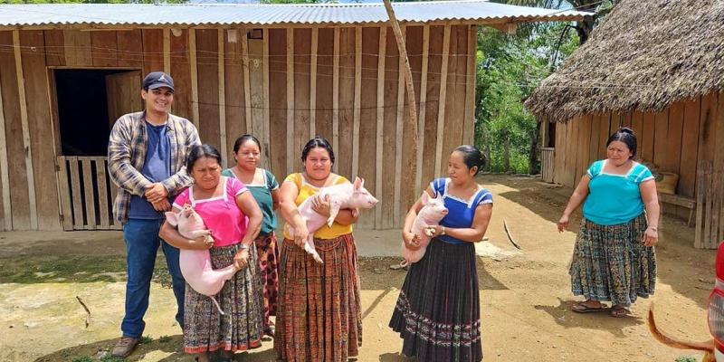 Entregan cerdos para fortalecer producción pecuaria de familias de San Luis