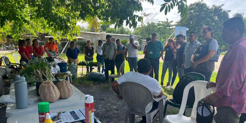 Feria del Agricultor en Izabal impulsa la producción local y la sanidad animal