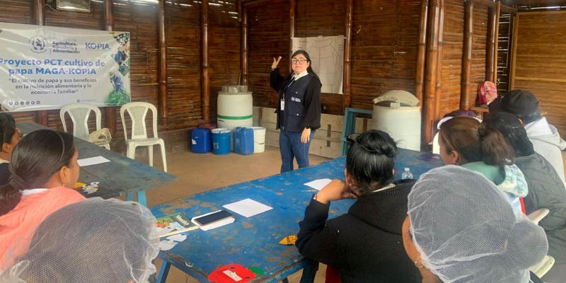 Fortalecen capacidades en huertos familiares y aprovechamiento de la papa