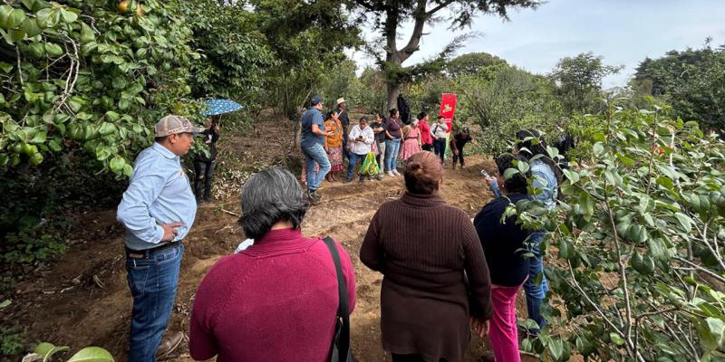 Fortalecen los sistemas productivos de maíz en Sacatepéquez 