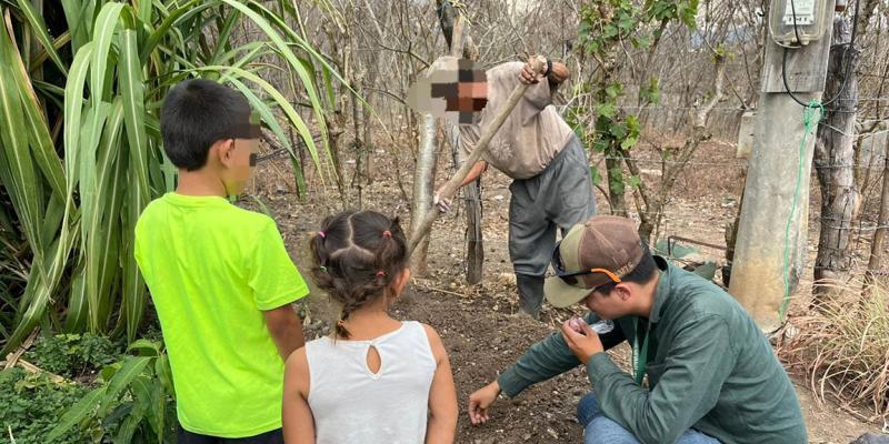 Fortalecen seguridad alimentaria de familia en riesgo en San Jerónimo, Baja Verapaz