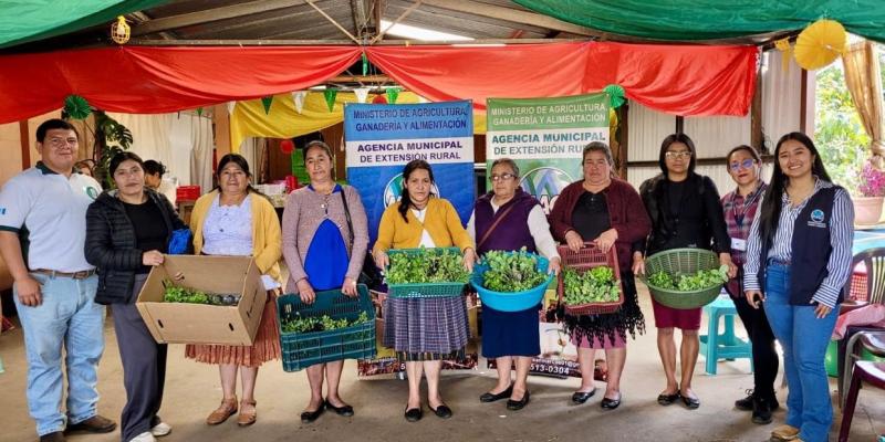 Huertos familiares fortalecen alimentación de familias en San Marcos