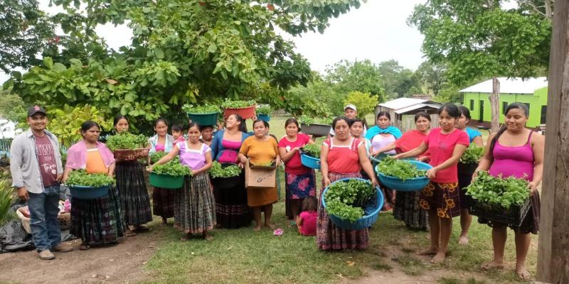 Huertos familiares fortalecen seguridad alimentaria de comunidades en la zona de adyacencia
