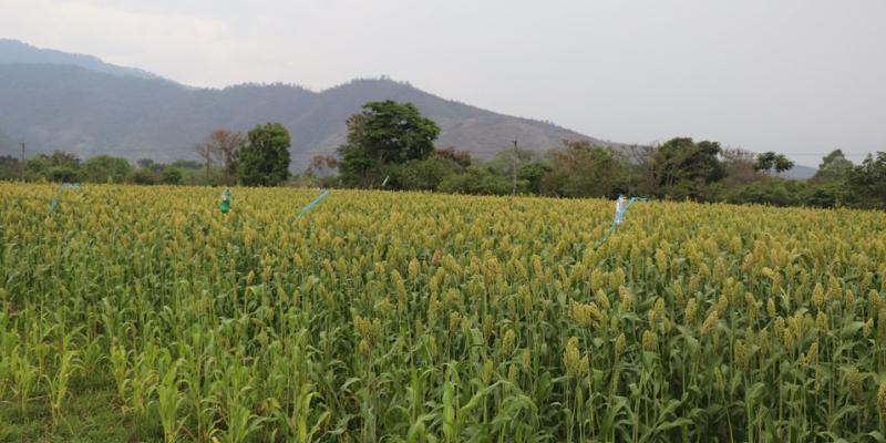 Guatemala fortalece la relación entre el espacio y la agricultura a través de colaboración con Jaguar Space 