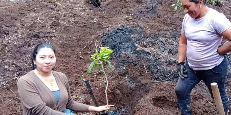 Impulsan agricultura sostenible para conservar el agua y suelo en Sacatepéquez