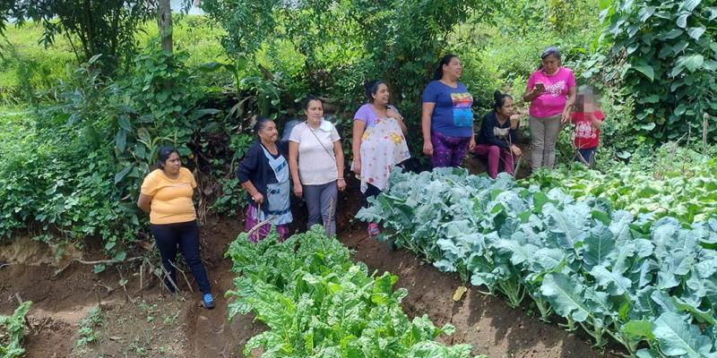 Impulsan diversificación de cultivos y producción agrícola en Sacatepéquez