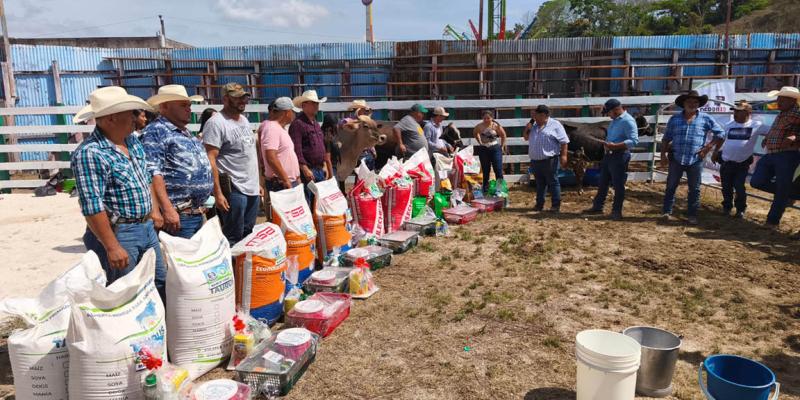 Impulsan mejoramiento genético del hato bovino en Petén 