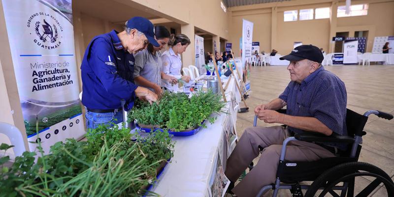 Los huertos periurbanos promueven una alimentación sana para los adultos mayores