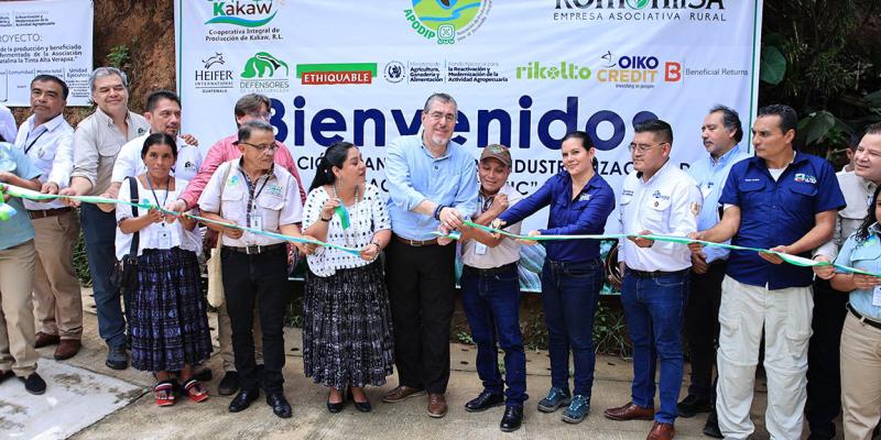 Nueva planta de cacao impulsa el desarrollo rural en el Valle del Polochic