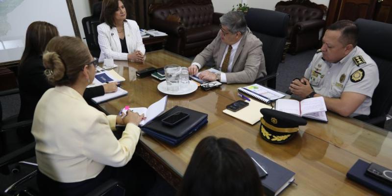 Karin Herrera, presidenta en funciones