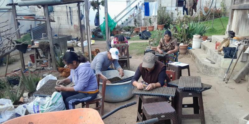 Promoviendo la producción sostenible en Quetzaltenango