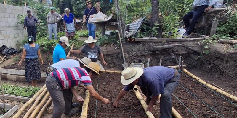 Promueven la producción de hortalizas y cultivos en San Pedro Ayampuc