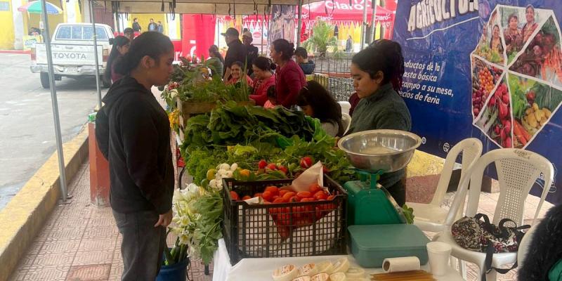Verduras y frutas frescas a precios accesibles en Feria del Agricultor