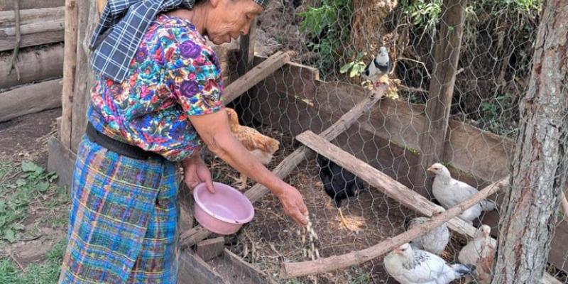 Impulsan proyectos de Alimentos por Acciones para beneficiar a familias de Zacapa
