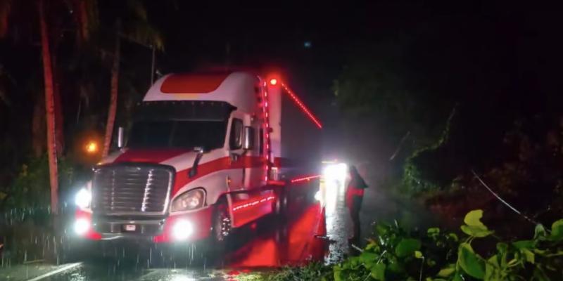 Ni la hora ni el clima detienen a Provial: brigadas atienden emergencia por árbol caído en Morales, Izabal