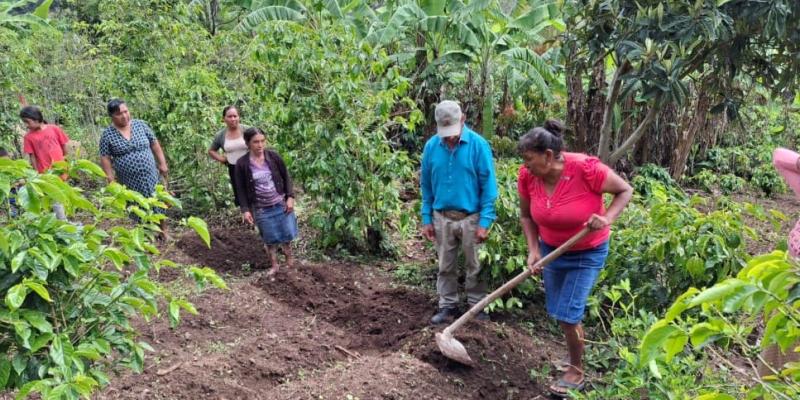 Huerto comunal fortalece a familias agricultoras de Jalapa