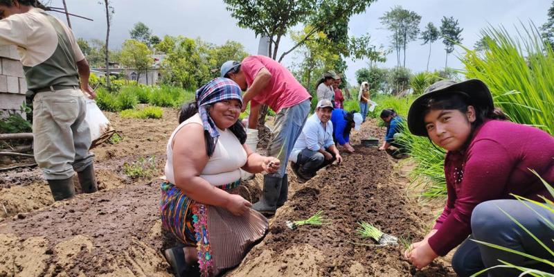 San Marcos: implementación de huertos es clave para impulsar la actividad productiva