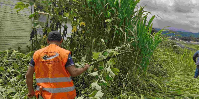 La DGAC reafirma así su compromiso con la seguridad operacional, implementando acciones preventivas que integran el mantenimiento de áreas verdes 