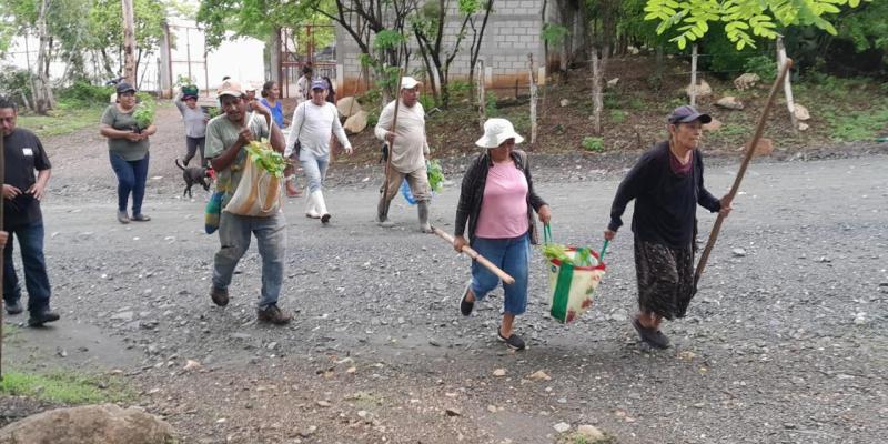 Actividades de reforestación fortalecen seguridad alimentaria y resguardo ambiental